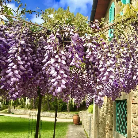 بيت للعطل Casa Colonica Con Piscina Paterna